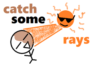 catch some rays.png