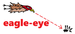 eagle-eye.png
