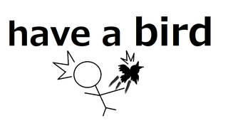 have a bird.png