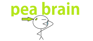 pea brain.png