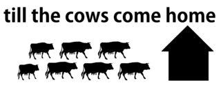 till the cows come home.png