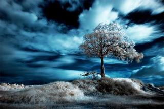 infra-red-photo-01.jpg