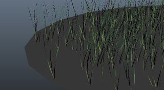 grass4_3.JPG