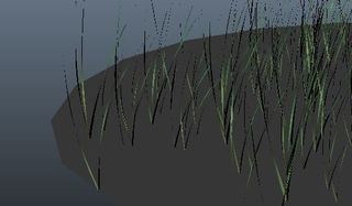 grass4_4.JPG