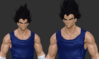 vegeta2.jpg