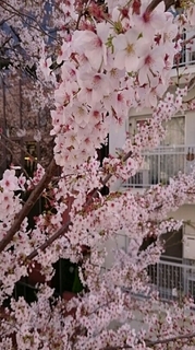 20150402_101804.jpg