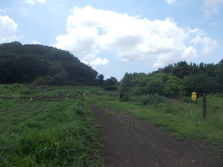 DSCN0837.JPG