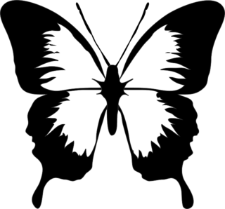 butterfly-47965_640.png