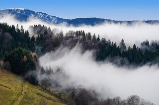 fog-3099200_640.jpg