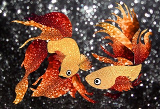 glitter-goldfish-1312463_1280.jpg