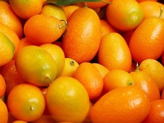 kumquats-357882_640.jpg