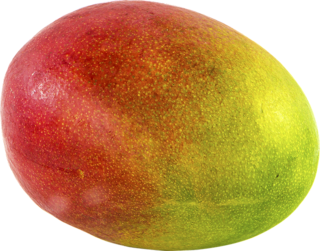 mango-1218147_640.png