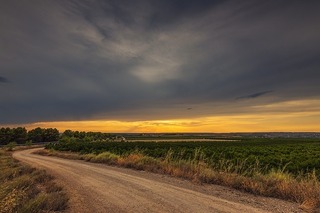 rural-road-2537257_640.jpg