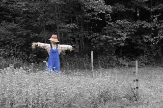 scarecrow-670720_1920.jpg