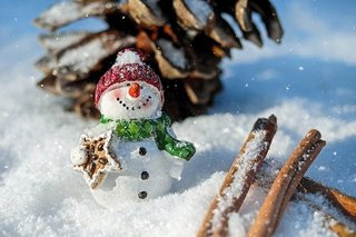 snowman-1882635_640.jpg