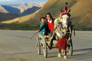 tibet-952688_640.jpg