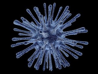 virus-213708_640.jpg