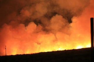 wildfire-4467084_640.jpg