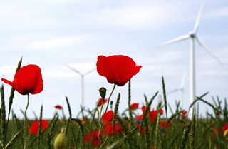 windmill-836592_1920.jpg