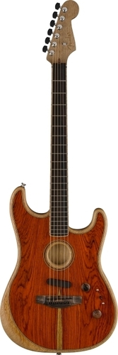 American Acoustasonic Stratocaster.jpg