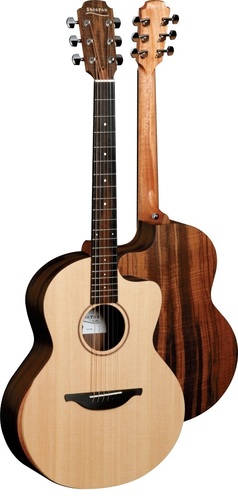 S-04-guitar.jpg