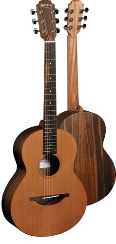 W-01-guitar.jpg