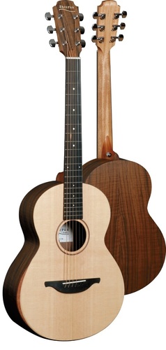 W-04-guitar.jpg