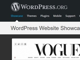 WordPressS.jpg