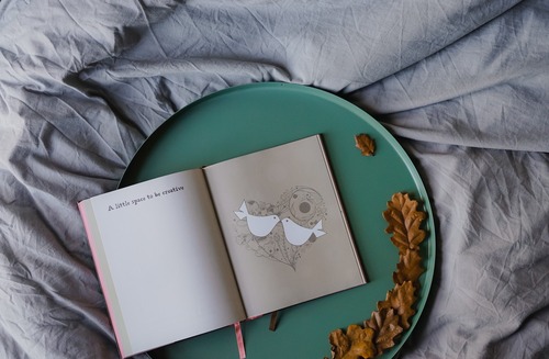 book bed bird.jpg