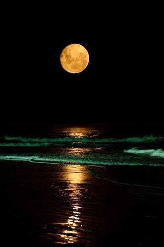 美しい！　  浜辺に打ち寄せる 波に写る満月♪.jpg