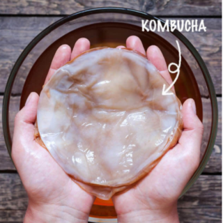 konbucha_2.png