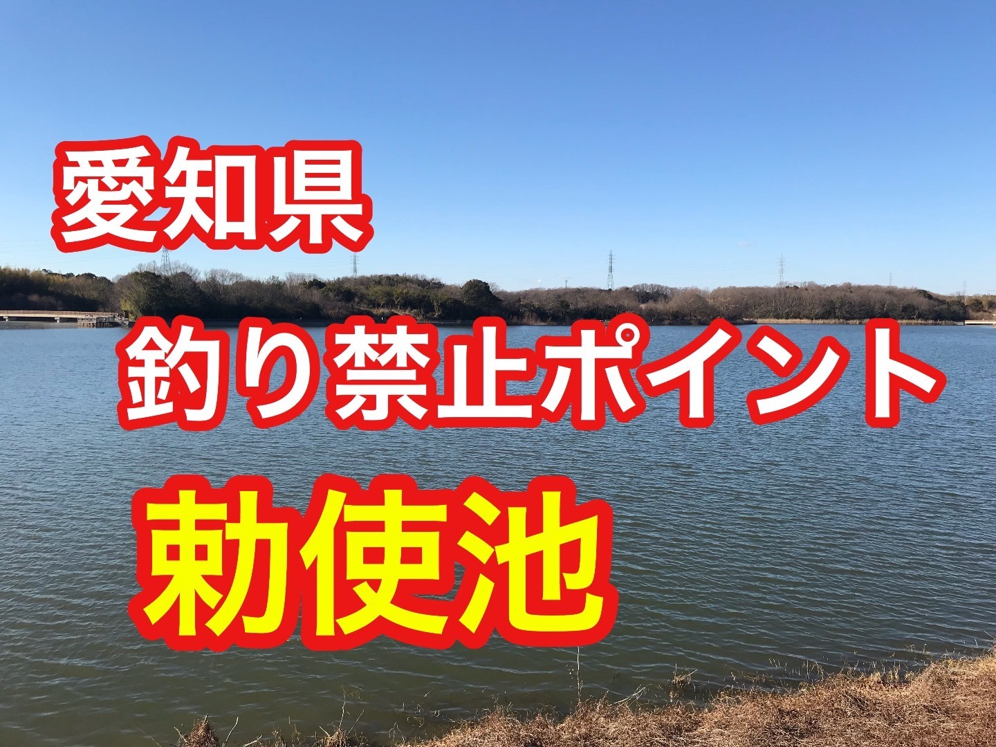 釣りドリーム 勅使池 愛知県 釣り禁止ポイント ブラックバス