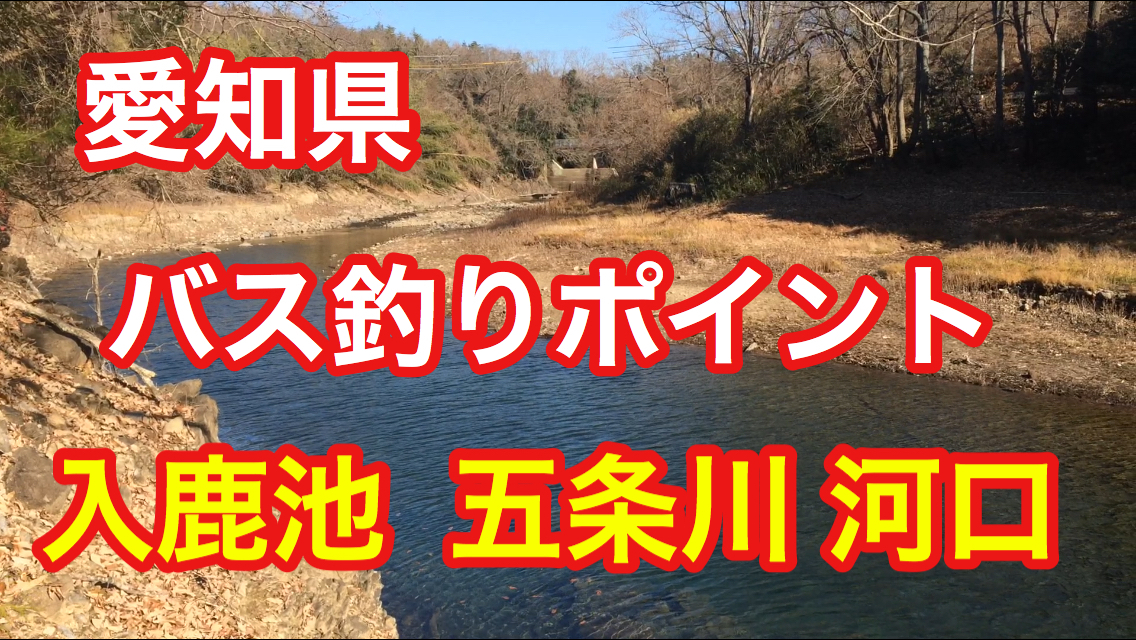 釣りドリーム 入鹿池 五条川 河口 愛知県 バス釣りポイント ブラックバス