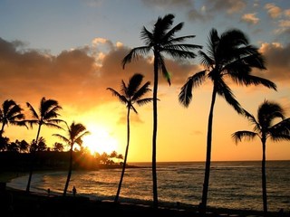 hawaii-1162157_640.jpg