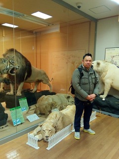 natural-museum.jpg