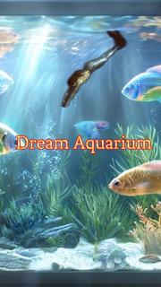 Dream Aquarium.jpg