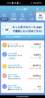 PayPay|Cg^p|2.png