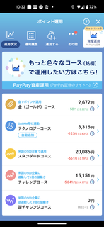 PayPay|Cg^p|2.png