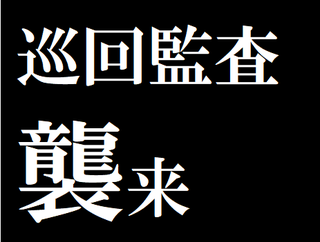 巡回監査.png