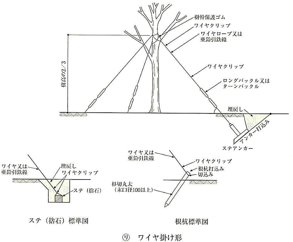 }23.3.3_x`(C|`).jpeg