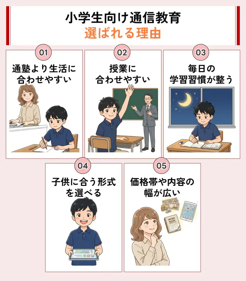 小学生向けの通信教育が人気である5つの理由