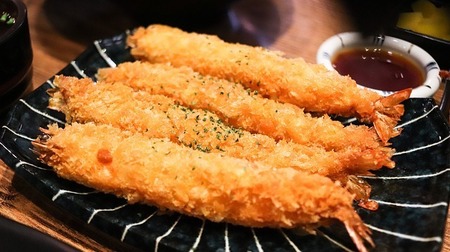 shrimp-tempura-g9982609d4_640.jpg