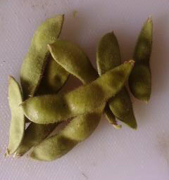枝豆収穫２０１４・９・２.jpg