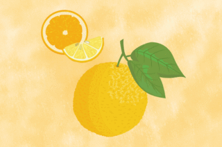 01395_bergamot.gif