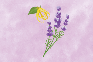 01396_lavender.gif