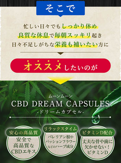 CBD_s_hikiage_04.jpg