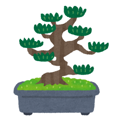 bonsai_matsu.png