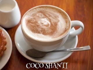 cafehanuru-thumbnail2.jpg