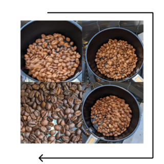 20221021-beans2.png