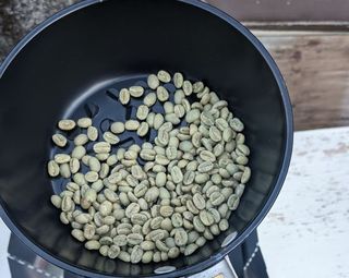 greenbeans-roast01.jpg